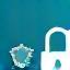Security icon